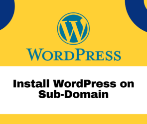 Install WordPress on Sub Domain