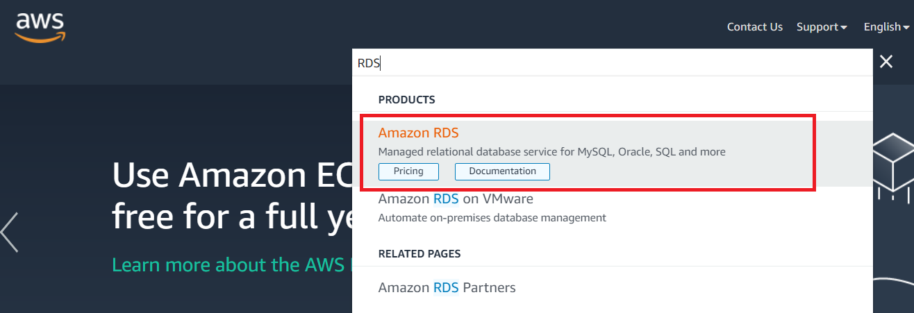 RDS-AWS-Database-Services