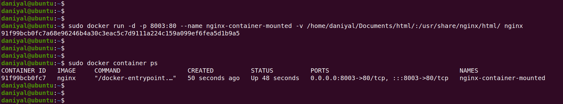 Running Nginx Container With Mounting Volume in Docker Container